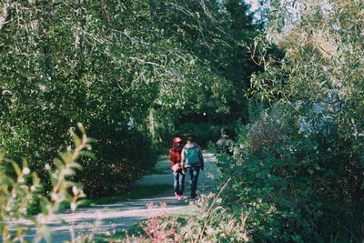 Rear view of men walking in forest