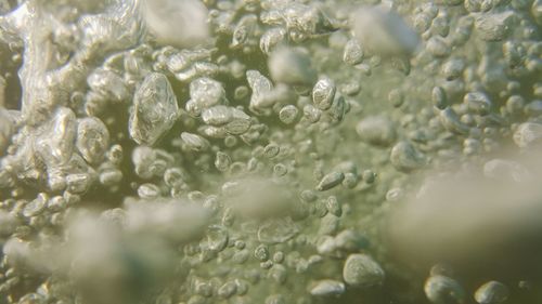 Full frame shot of wet bubbles