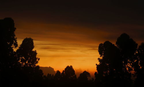 Low angle view of silhouette trees against romantic sky