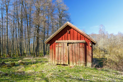 Old weathery red wood shed in a spring landscape