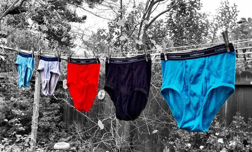 Clothes drying on tree trunk