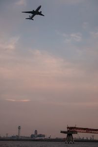 Low angle view of airplane flying over sea and city during sunset