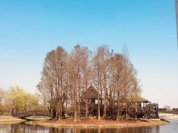 Bare trees by lake against clear sky