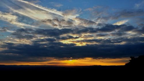 Silhouette of trees against dramatic sky