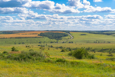 Scenic view of field against sky
