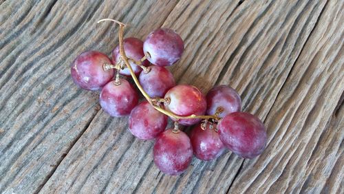 High angle view of grapes on tree