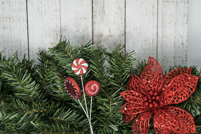 Close-up of christmas tree against wall