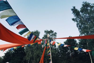 Low angle view of trees against clear sky