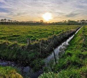 Scenic view of field against sky during sunset