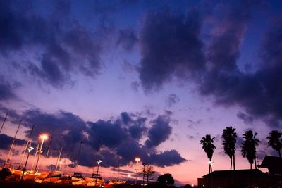 View of palm trees at sunset