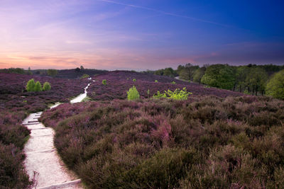 Empty walkway amidst grassy field against sky during sunset