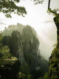 Rock formation amidst trees against sky