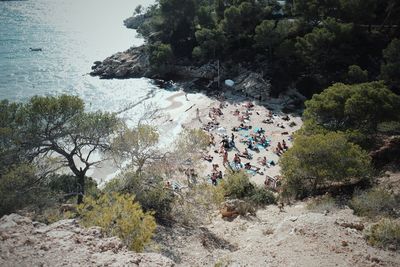 High angle view of rock by sea