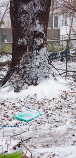 Frozen trees on field during winter