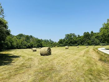 Plant Bale 