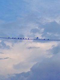 Low angle view of birds flying against sky