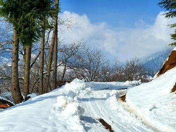 Snow covered land and trees against sky