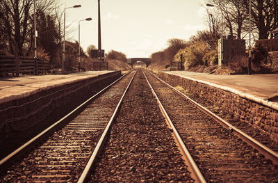 Railroad tracks amidst bare trees against sky