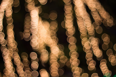 Close-up of illuminated blurred lights at night