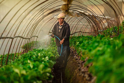 Farmer watering plants in greenhouse