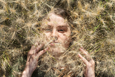 Portrait of beautiful young woman lying among fluffy spikelets of barley in meadow, relax in nature