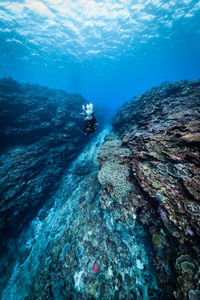 People swimming in sea