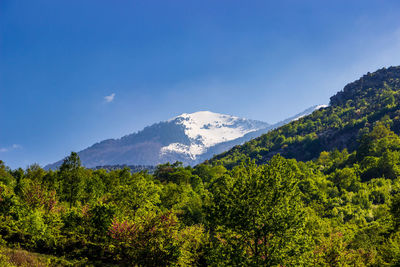 Scenic view of mountains against blue sky