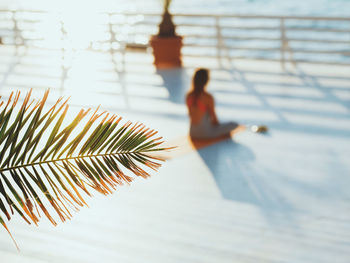 High angle view of woman sitting on promenade while palm leaf in foreground