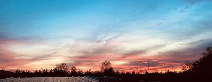 Silhouette trees against sky during sunset