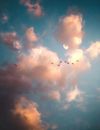 Low angle view of sky