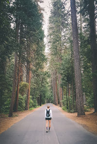 Rear view of woman riding motorcycle on road amidst trees