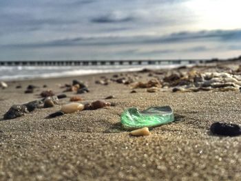 Surface level of sandy beach