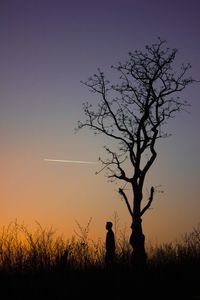 Silhouette tree on field against sky during sunset