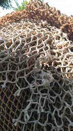 Close-up of starfish on sea