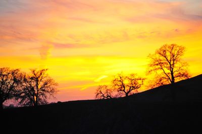 Silhouette tree against dramatic sky during sunset