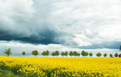 Scenic view of field against cloudy sky