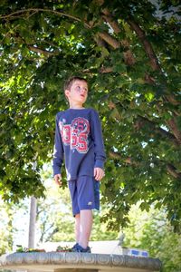 Low angle view of child on tree against trees