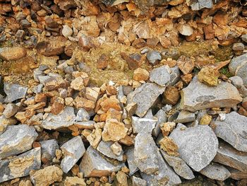 Full frame shot of pebbles on rock