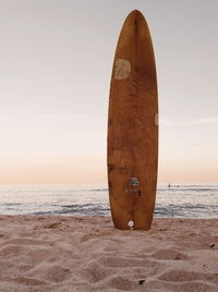 Surf time at the beach 