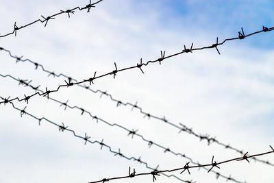 Low angle view of barbed wire against sky