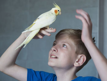 Portrait of happy boy holding bird