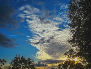 Low angle view of trees against cloudy sky