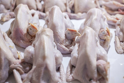 Whole chicken meat is ready to be processed into various dishes.
