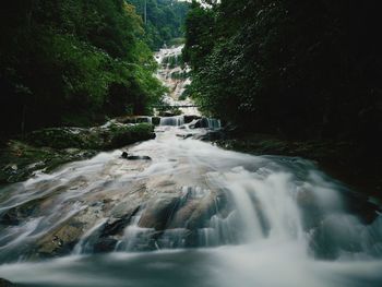 Scenic view of waterfall in forest