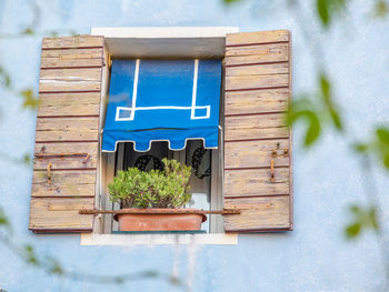 Close-up of potted plant against window of building