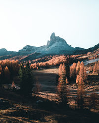 Scenic view of landscape against clear sky