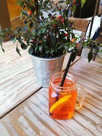 Close-up of potted plant on table