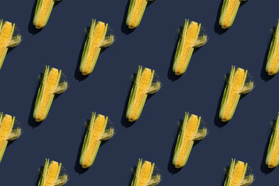 A green ear of corn. juicy corn of a new harvest. seamless pattern. blue background.