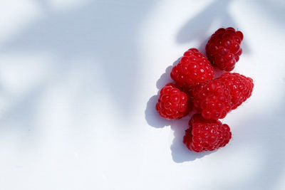 High angle view of strawberries on table against white background