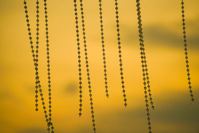 Close-up of beads hanging against orange sky during sunset